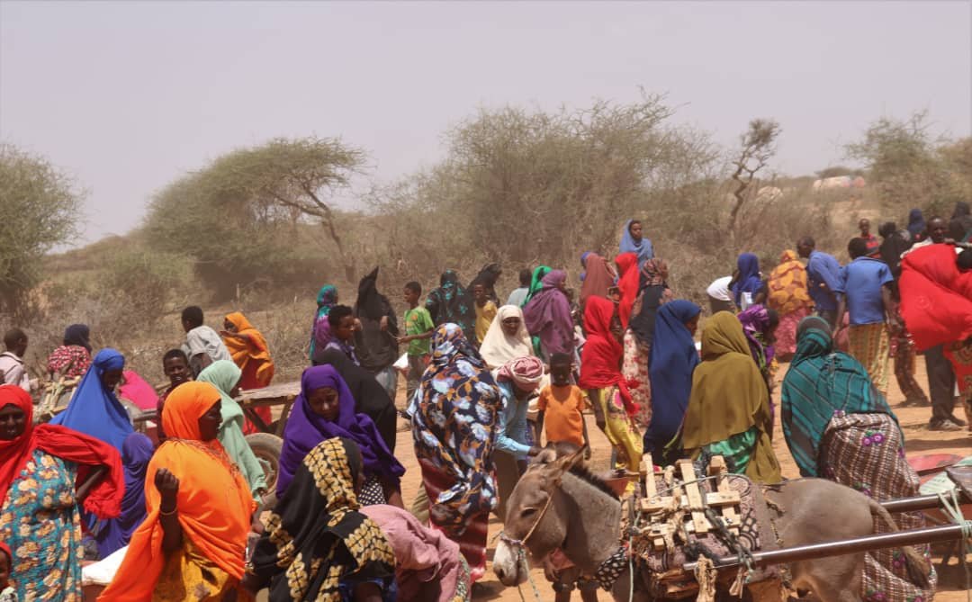 Livelihoods Image 9